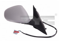 Outside Mirror 301-0029 TYC