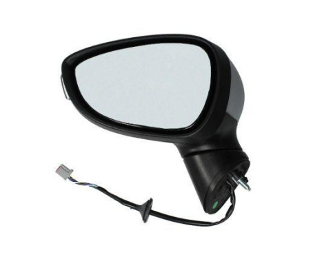 Outside Mirror 310-0148 TYC