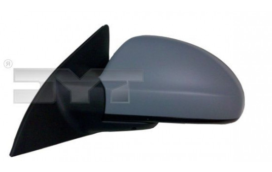 Outside Mirror 317-0030 TYC