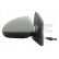 Outside Mirror 333-0007 TYC