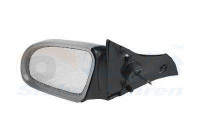 Outside Mirror 3776813 Van Wezel