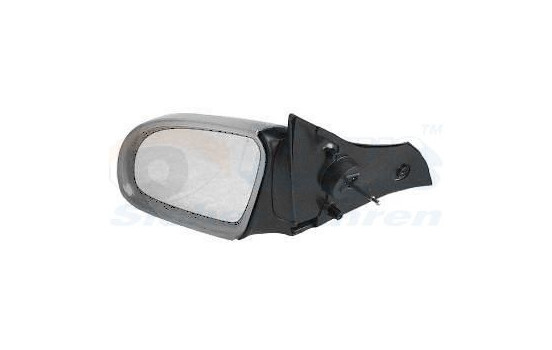 Outside Mirror 3776813 Van Wezel