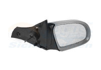 Outside Mirror 3776814 Van Wezel