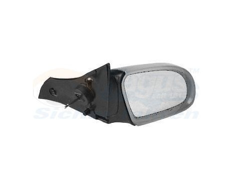 Outside Mirror 3776814 Van Wezel