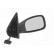 Outside Mirror 4036818 Hagus