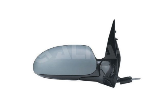 Outside Mirror 6134399 Alkar