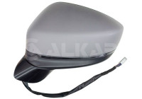 Outside mirror 6145738 Alkar