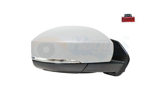 Outside Mirror * HAGUS * 0258828