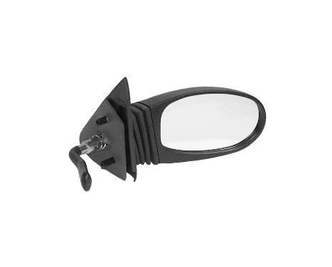 Outside Mirror * HAGUS * 1601804