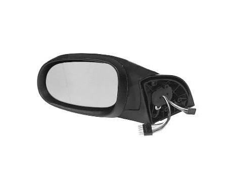 Outside Mirror HAGUS 3014809
