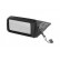 Outside Mirror * HAGUS * 3024807