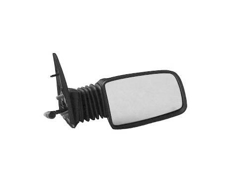 Outside Mirror * HAGUS * 4026804