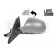 Outside mirror left electric Primer, Heated 9-pin 7636817 Hagus, Thumbnail 2