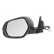 wing mirror