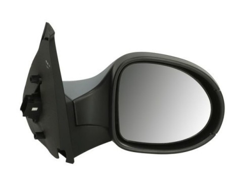 wing mirror