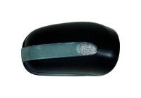 Cover, exterior mirror 1646028 Diederichs