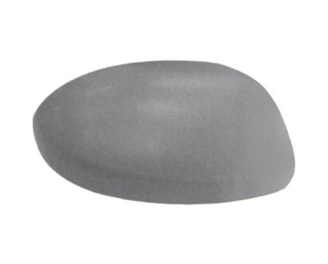 Cover, exterior mirror 5605029 Diederichs