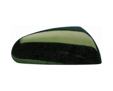 Cover, exterior mirror 5807128 Diederichs