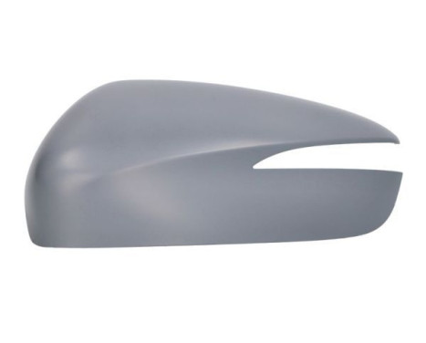 Cover, exterior mirror