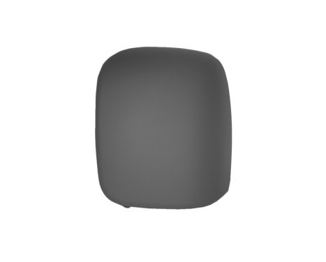 Cover, outside mirror 1612843 Hagus