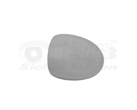 Cover, outside mirror 4343843 Hagus