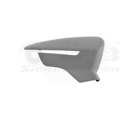 Cover, outside mirror 4946844 Hagus