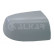 Cover, outside mirror 6312392 Alkar