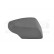 Cover, outside mirror HAGUS 5141844