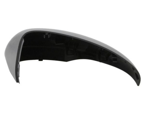 Cover, outside mirror, Image 2