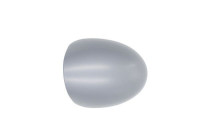 Housing, outside mirror