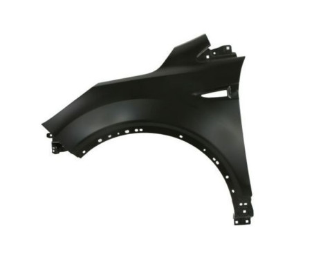 BLIC MUDGUARD FORD KUGA II LEFT