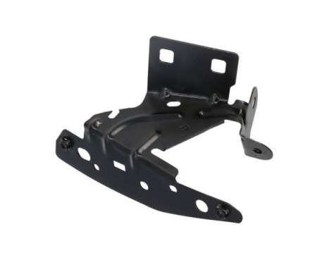 Mounting, mudguard holder