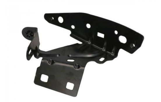 Mounting, mudguard holder