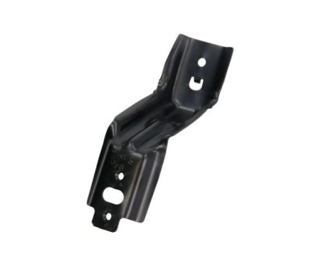 Mounting, mudguard holder
