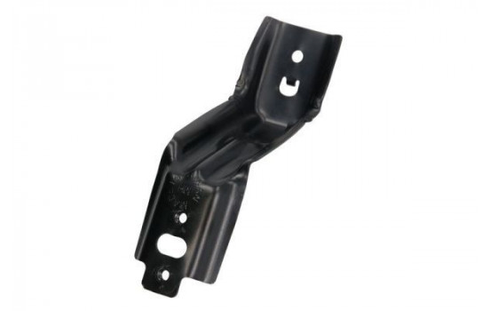Mounting, mudguard holder