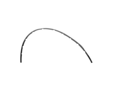 Seal, wing 5801420 Van Wezel