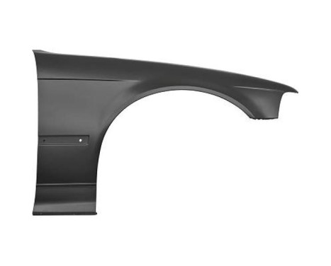 Splashback 1213107 Diederichs