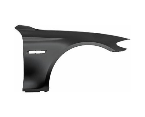 Splashback 1225106 Diederichs