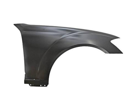 Splashback 1647006 Diederichs