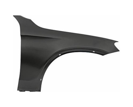 Splashback 1656006 Diederichs