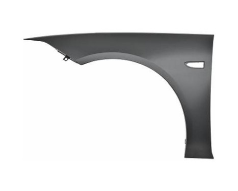 Splashback 1828007 Diederichs