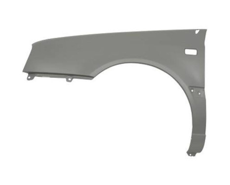 Splashback 2212007 Diederichs