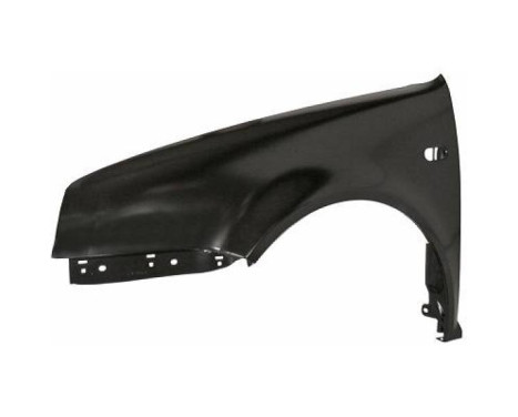 Splashback 2231007 Diederichs