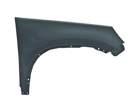 Splashback 2255006 Diederichs