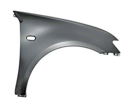 Splashback 5881806 Diederichs