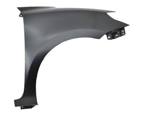 Splashback 6416106 Diederichs