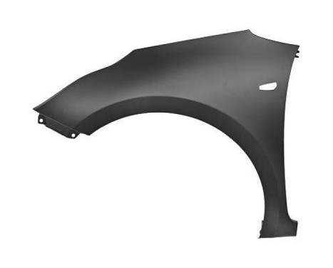 Splashback 6554007 Diederichs