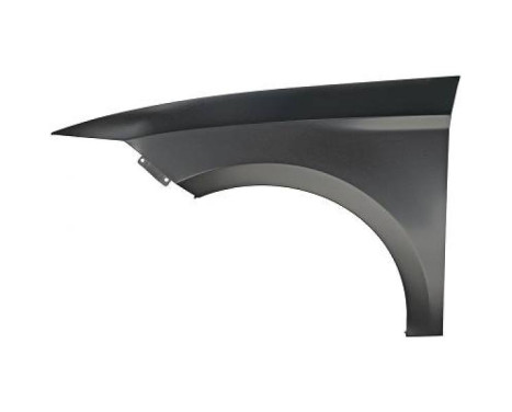 Splashback 7433207 Diederichs