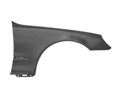 Wing 3036658 Van Wezel