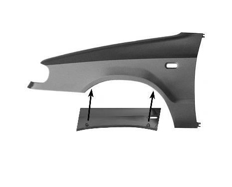 Wing 7616655 Van Wezel